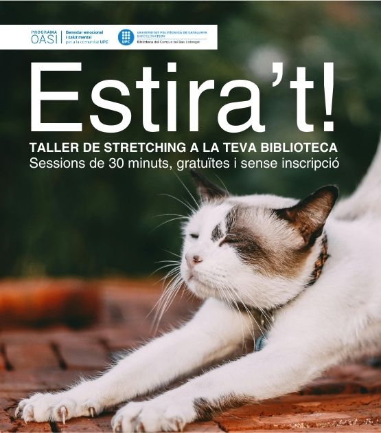 Tallers stretching