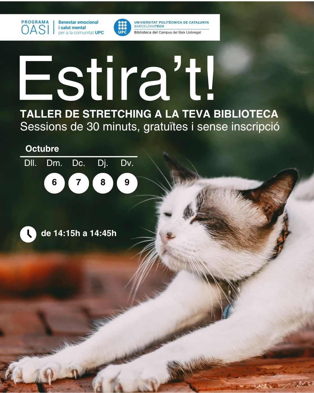 Estira't