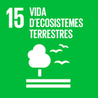 SDG 15 terrestrial life