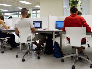 Bucs d'estudi individual Bucs d'estudi individual