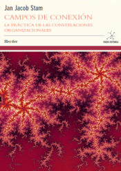 Campos de conexión: la práctica de las constelaciones organizacionales