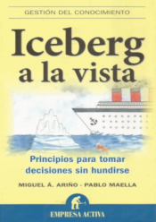 Iceberg in sight: principles for making decisions without sinking