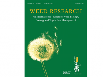 Weed research