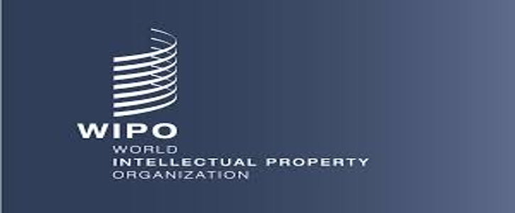 Intellectual Property Policías for Universities