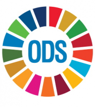 The SDGs and the library