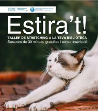 Tallers stretching